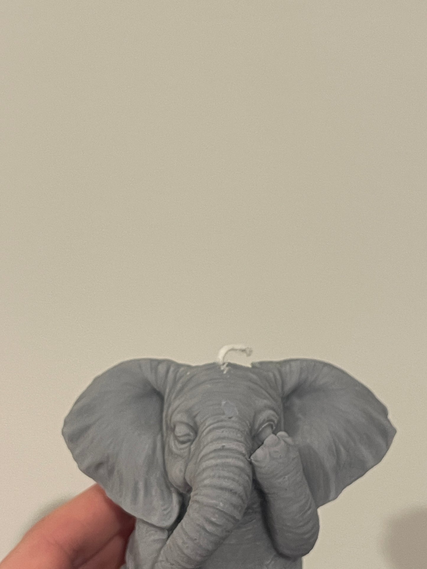 IMPERFECT Elephant 01